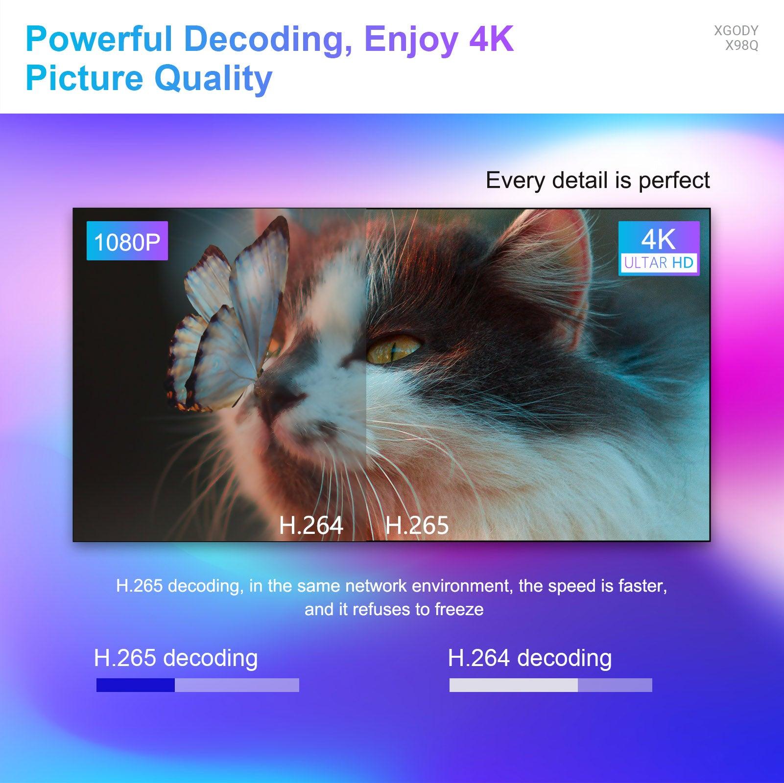 Cost-effective and Most worthwhile X98Q HDMI Android 11.0 Smart TV Box 4K, 2.4/5G Dual WiFi & Bluetooth, 16GB build-in Disney, Netflix - XGODY
